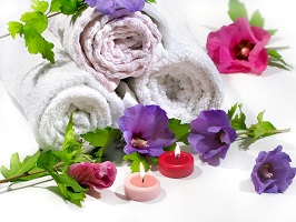 © matttilda – Fotolia | 8997133 